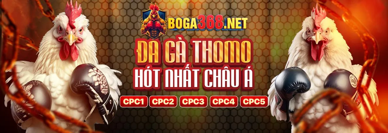 Lịch sử phát triển và các cột mốc quan trọng của i9bet41 code