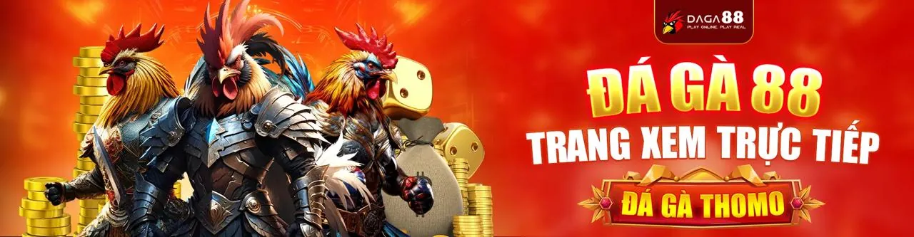 Cá cược thể thao i9bet41 code